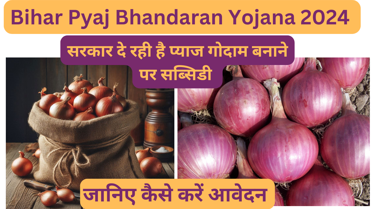 bihar pyaj bhandaran yojana