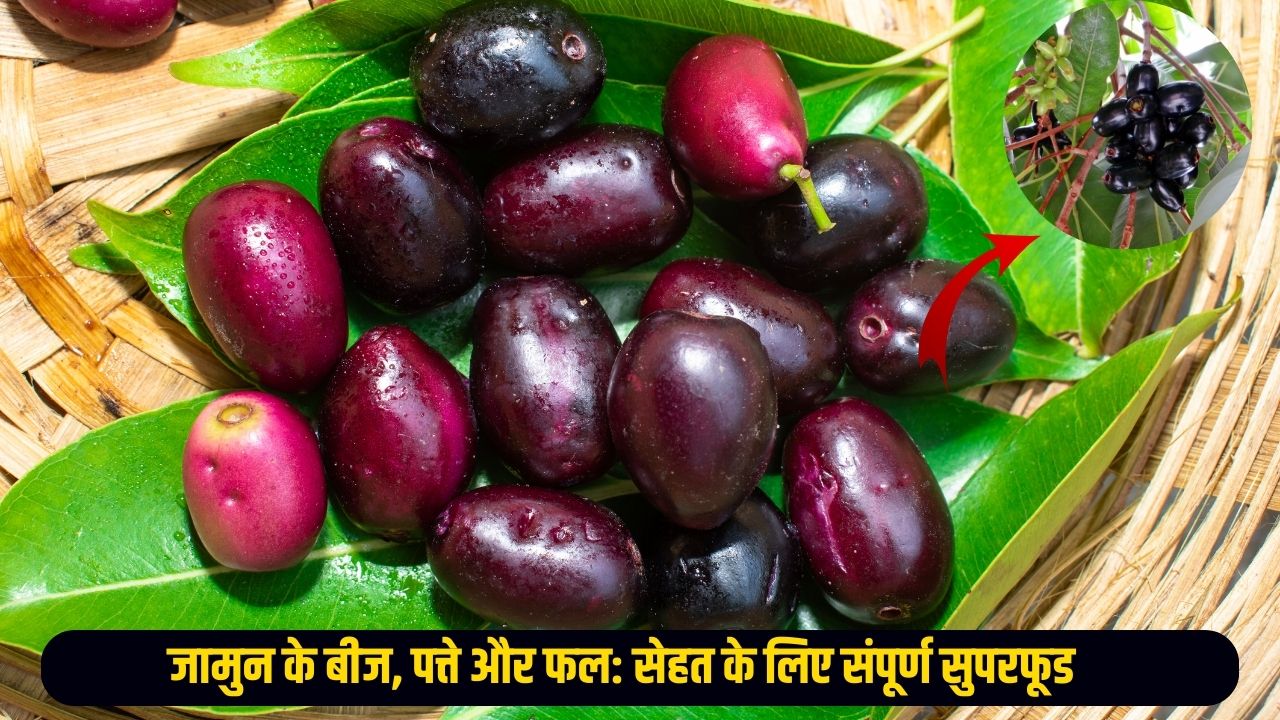 Jamun